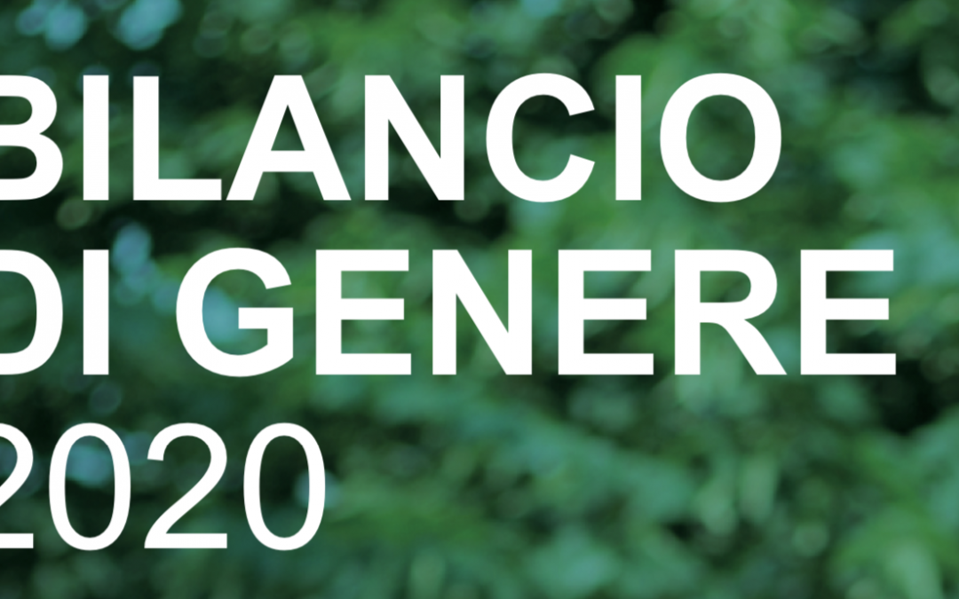 Pubblicato il Bilancio di genere 2020 del Politecnico