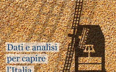 RSA oggi tra politiche sociali e ipotesi di riforma: podcast con Costanzo Ranci